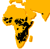 Élőhelye: Afrika és India (Giri-rezervátum)
